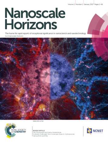 front cover nanoscale horizons 2017