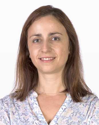New Guest Ana Clara Marques Laboratory For Multifunctional Materials Eth Zurich
