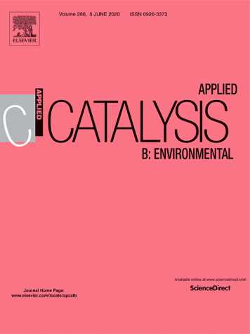 cover applied catalysis B