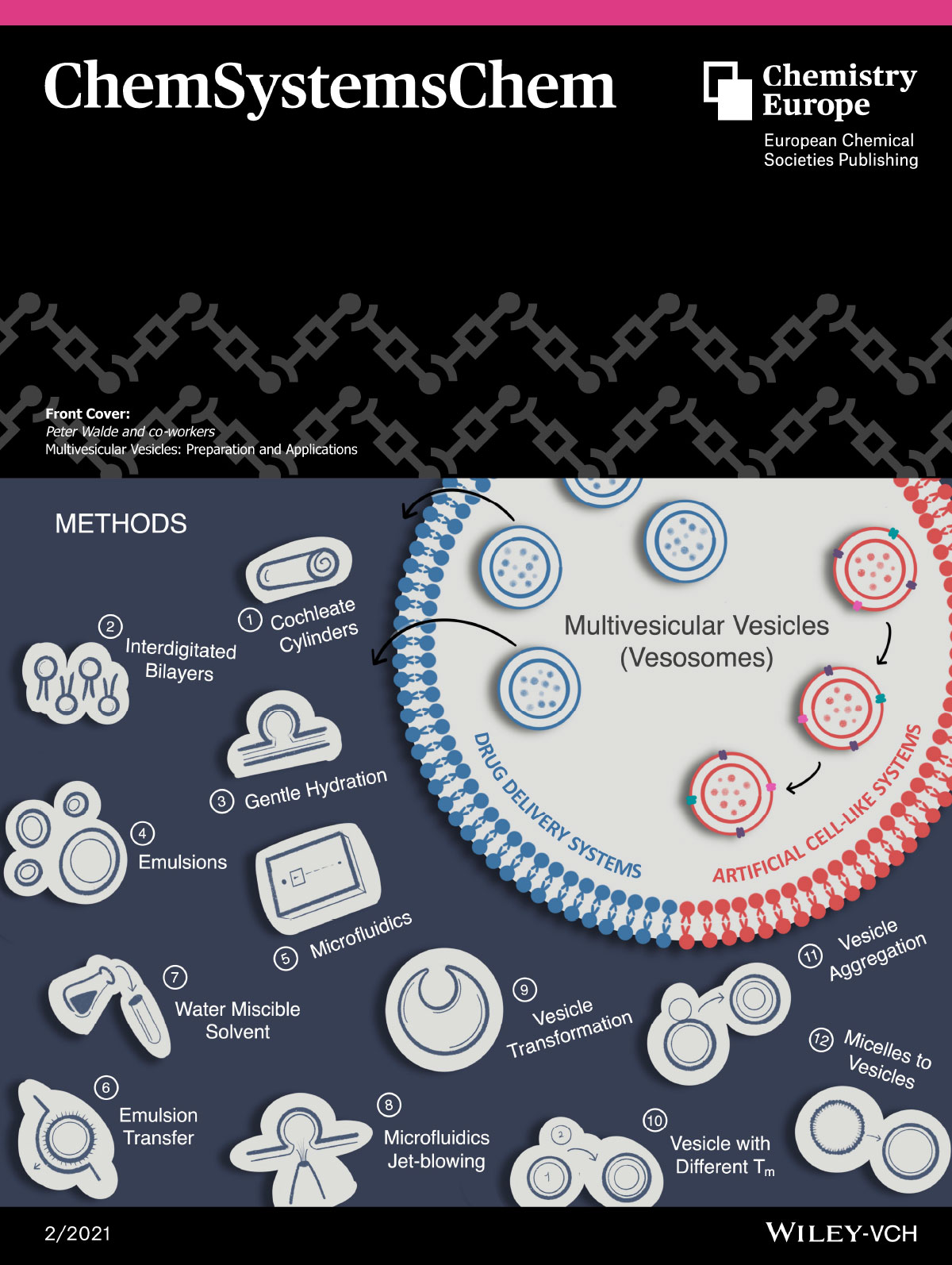 Cover ChemSystemsChem