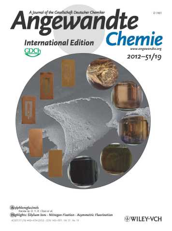 Enlarged view: cover_angew_chem