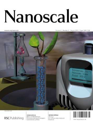 Enlarged view: cover_nanoscale