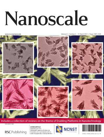 Enlarged view: cover_nanoscale